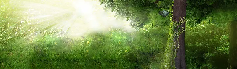 �����ݵر���ͼ-������