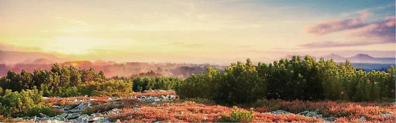 �ƻ���������-������