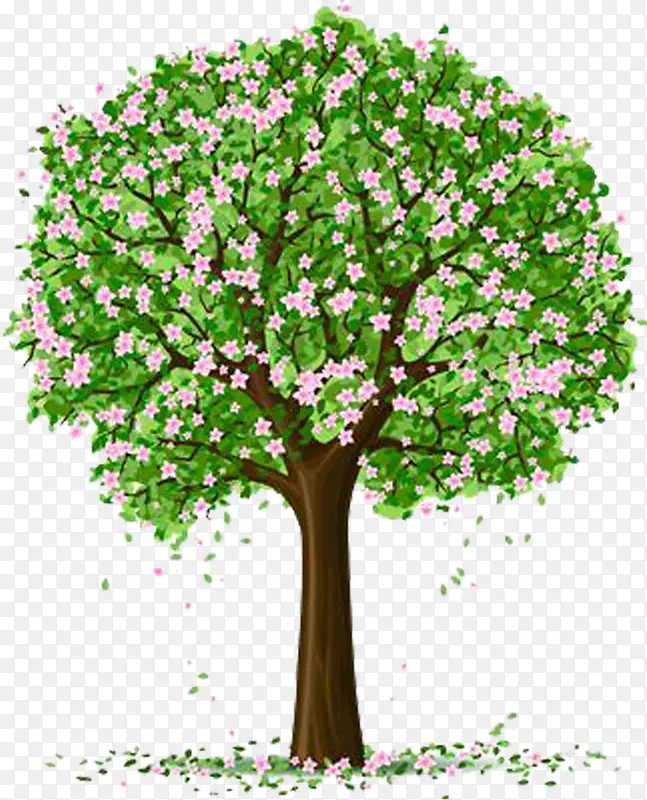 ��ɫ��������-������