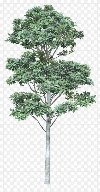 ֲ����ľ����-������