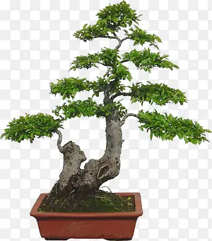 �辰��������-������