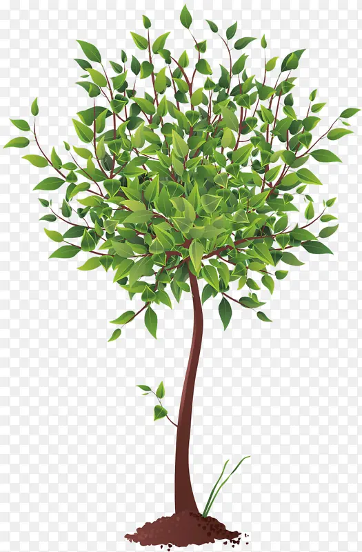 ���������쿨ͨ��-������