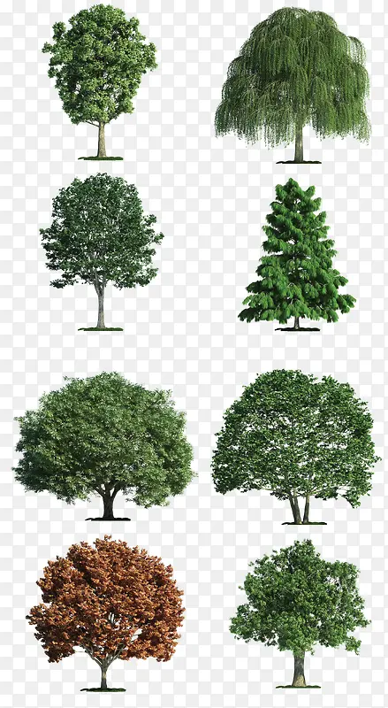 ��������������-������