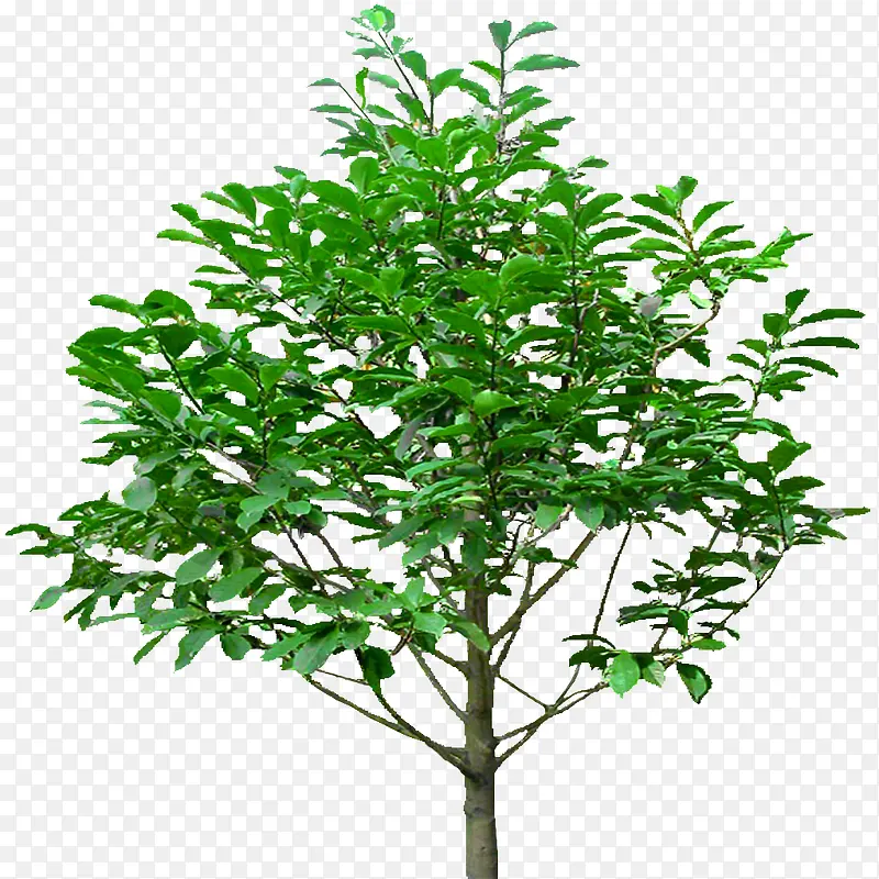 ͸����������-������