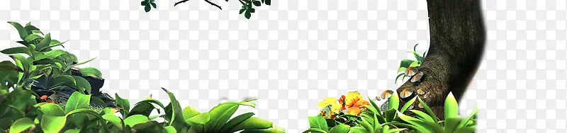 �̻��̲�����-������