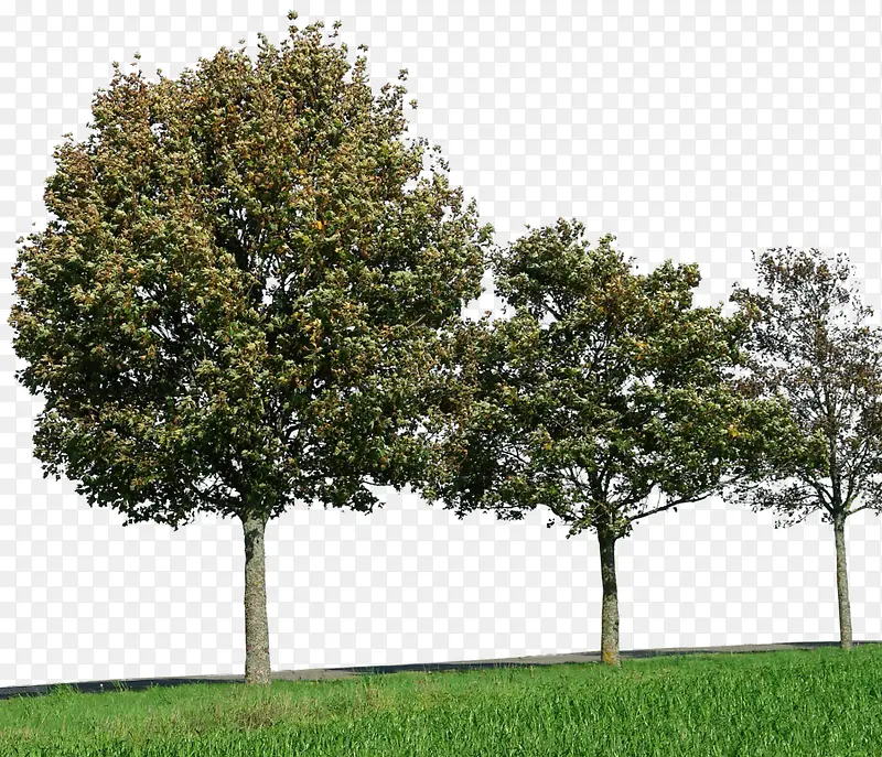 ������������-������