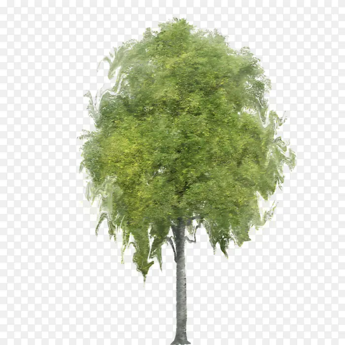 ����������Ҷ-������