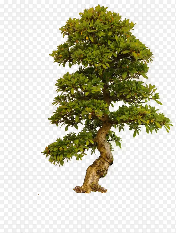 �� ����-������