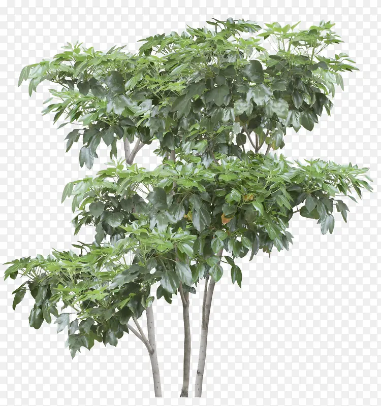 ����-������