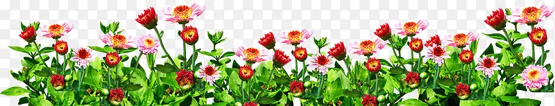 ��ܰ�ɰ�С���ݵ�-������