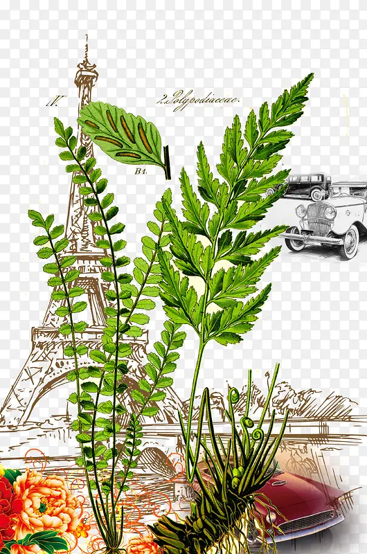 ֲ������-������