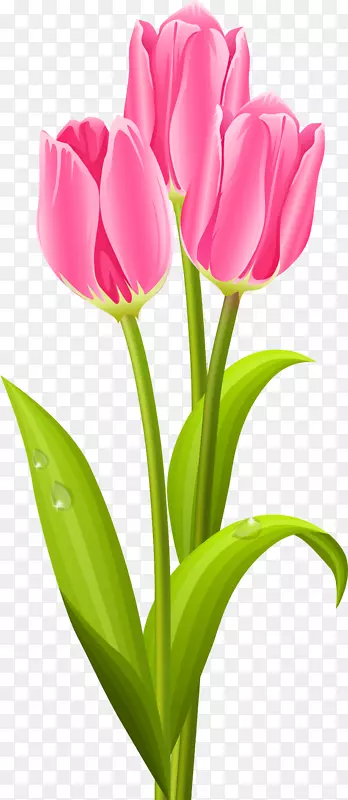 �����㻨��������-������-������