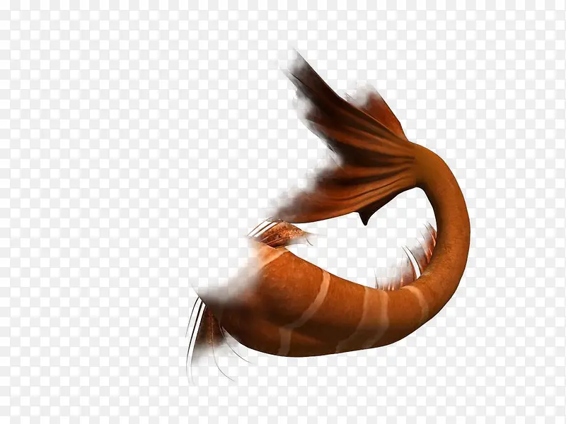 ��ɫ��������β-������