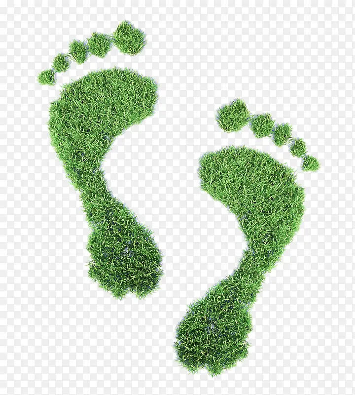 �����ƺ��ӡ-������