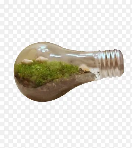 �������-������