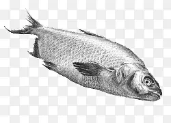 ��ͨ�ֻ溣�׵���-������