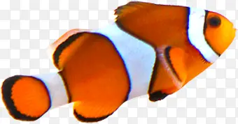 ������Ӱ����������-������