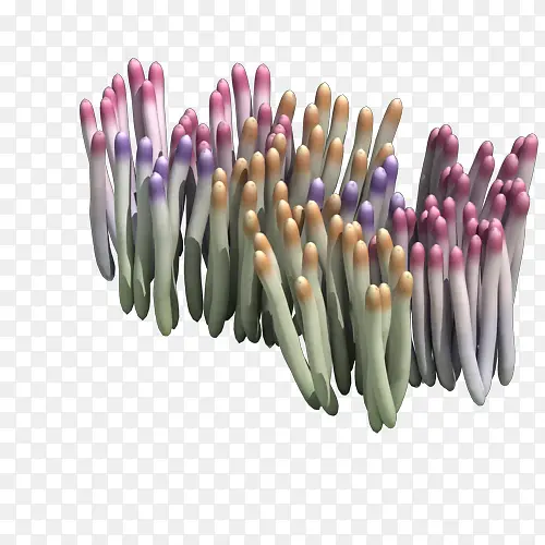 ��ɫ����-������