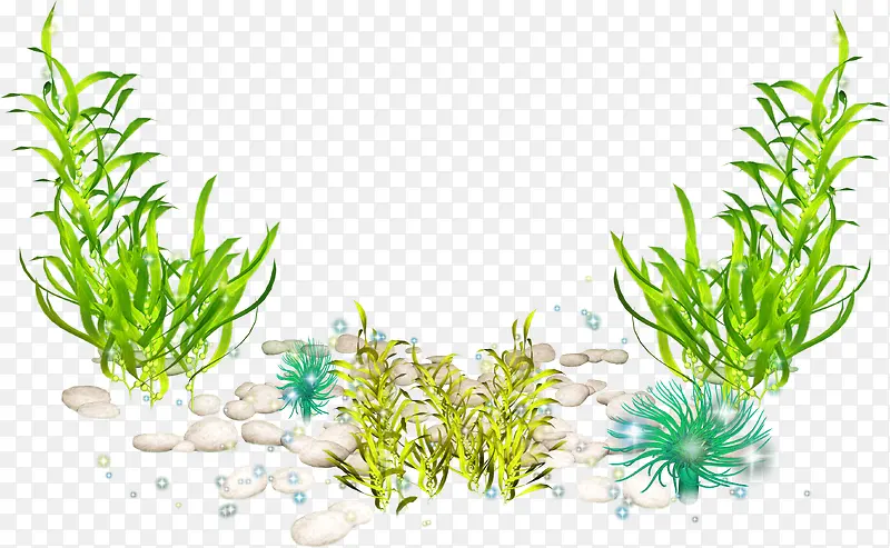 ���׺����ز����-������