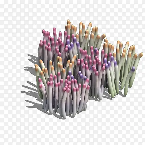 ֱ������-������