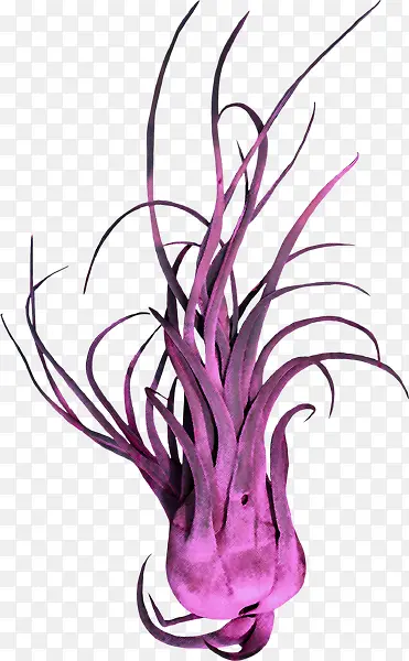 ���������ز�-������