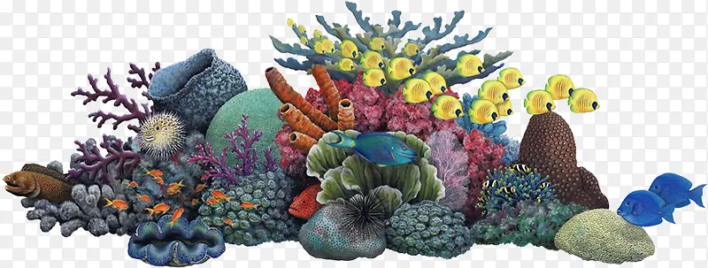 ����-������