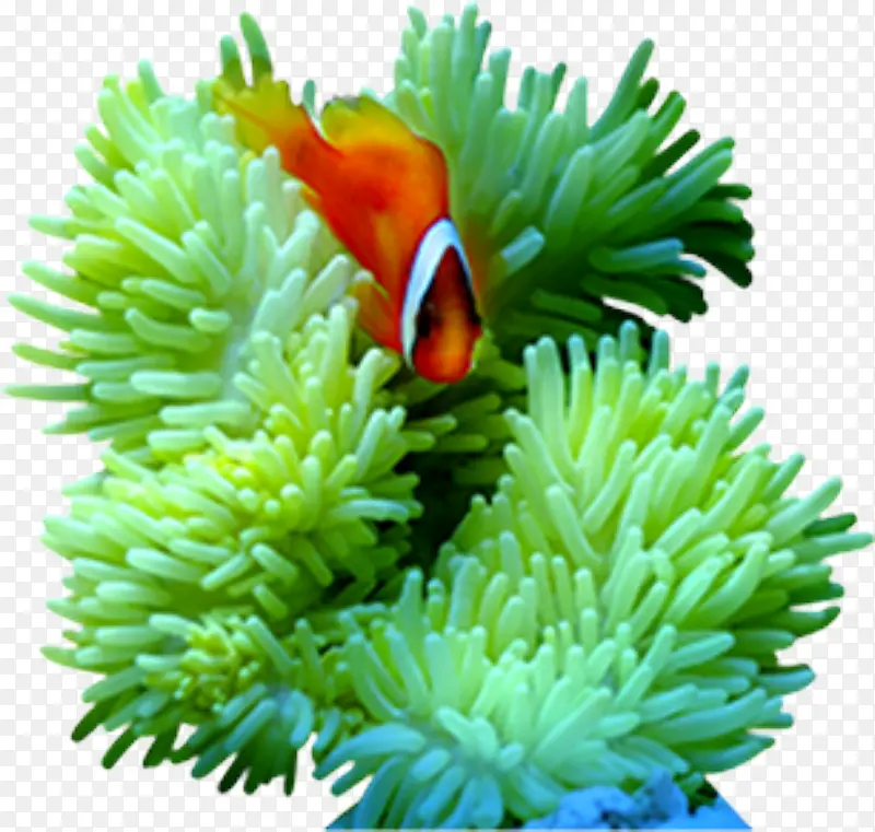 ����-������