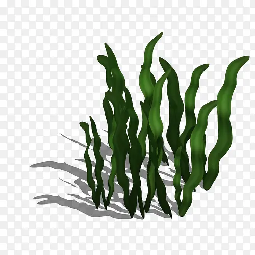 �̺���-������