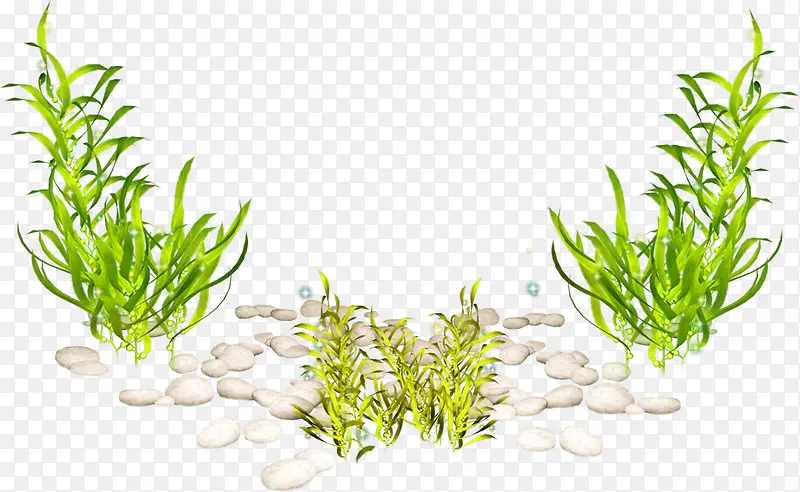 ����-������