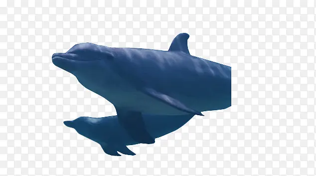 ����-������