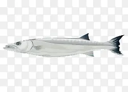 ��ͨ�ֻ潣��-������