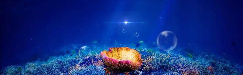 ���ױ���-������