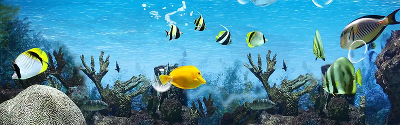 ���ױ���-������