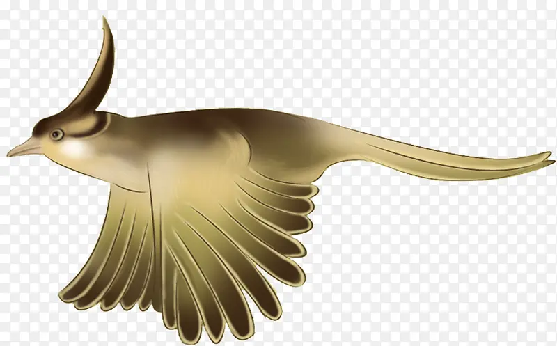 ��Ⱦ����-������