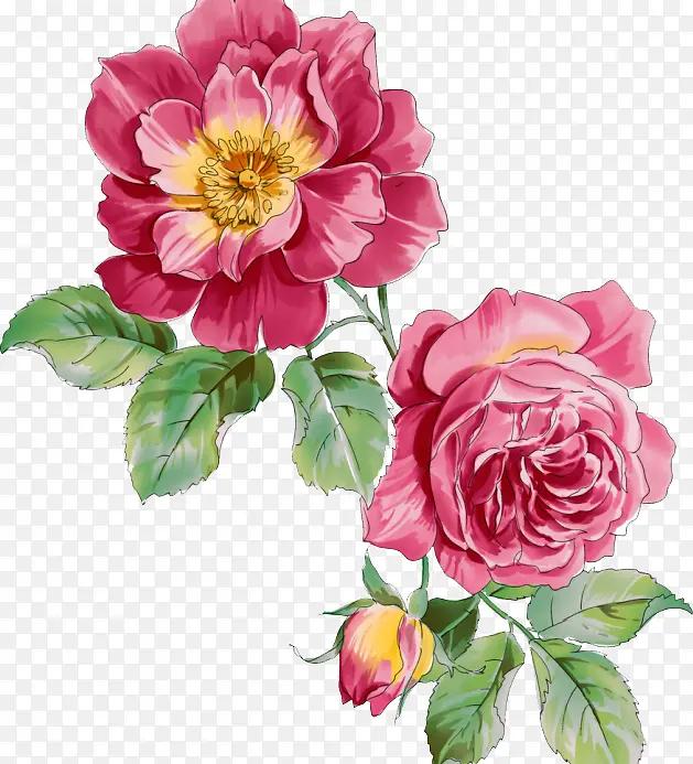 ��ƿ�ͨ�������Ч��-������