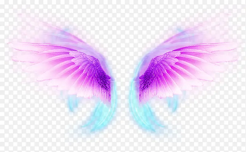 ��Ϧ������ͨЧ�����-������