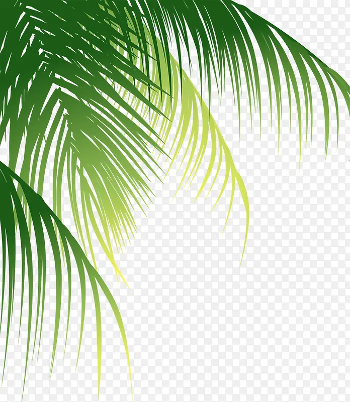 ��ͨ��ҶЧ����ͨ-������