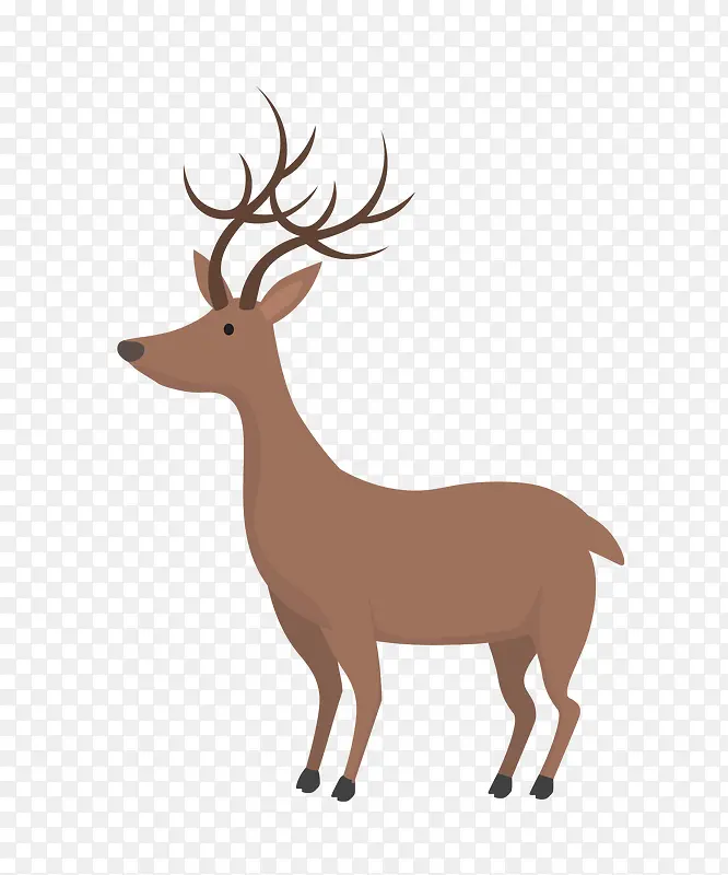 ��ͨ¹png-������