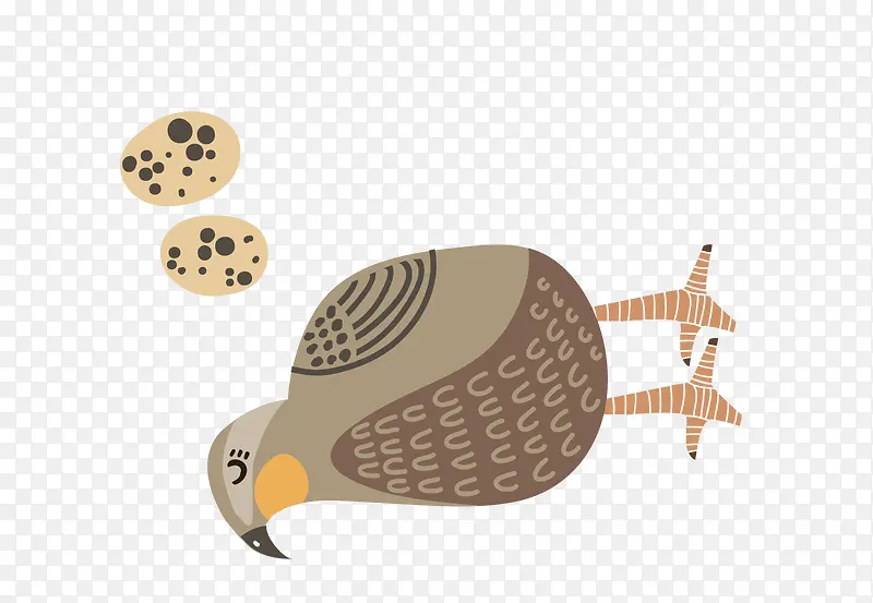 ��ƽ����ͨС��������-������