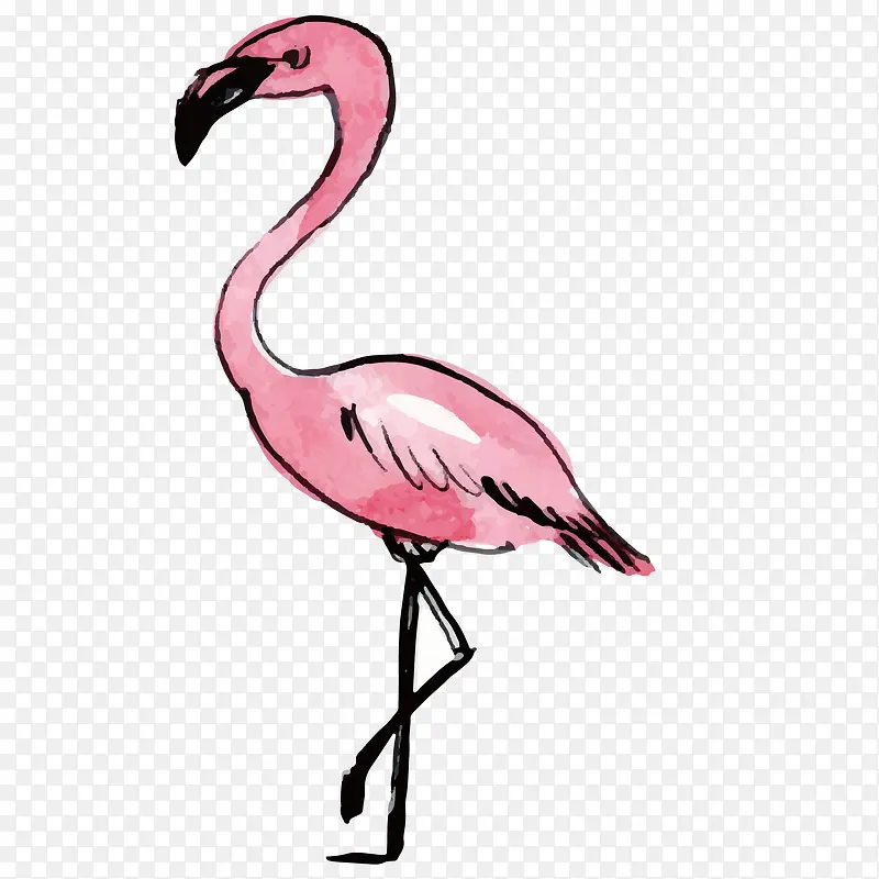 ��ɫ�İ���ʸ���ز�-������