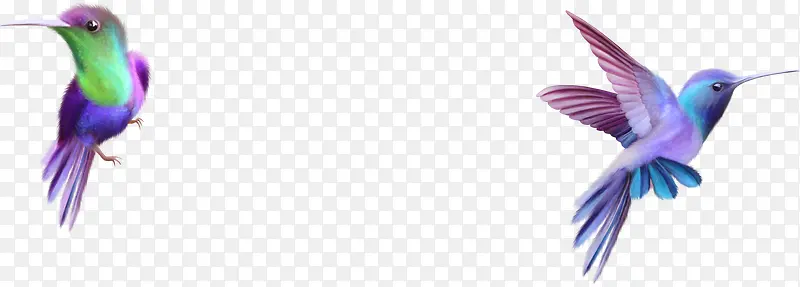 С�����ɰ�Ψ��-������