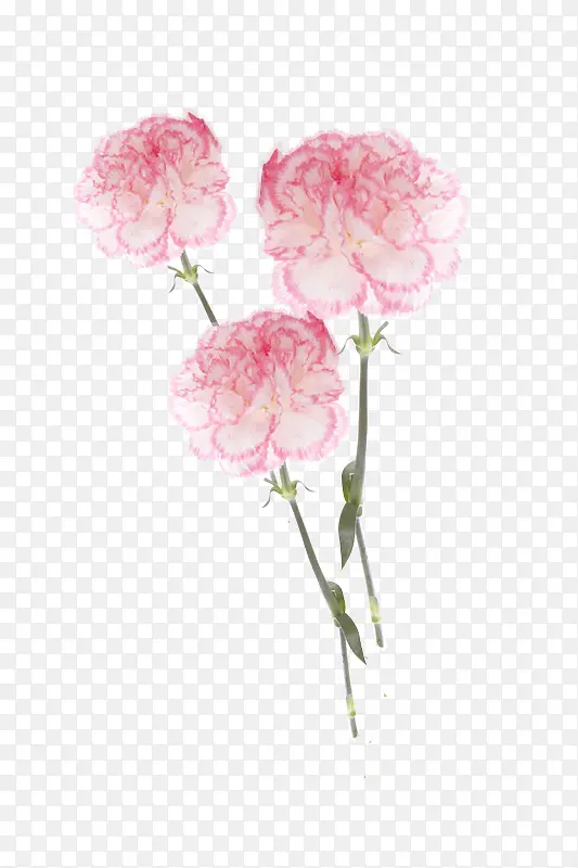 �۱߰�ɫ����ܰ-������