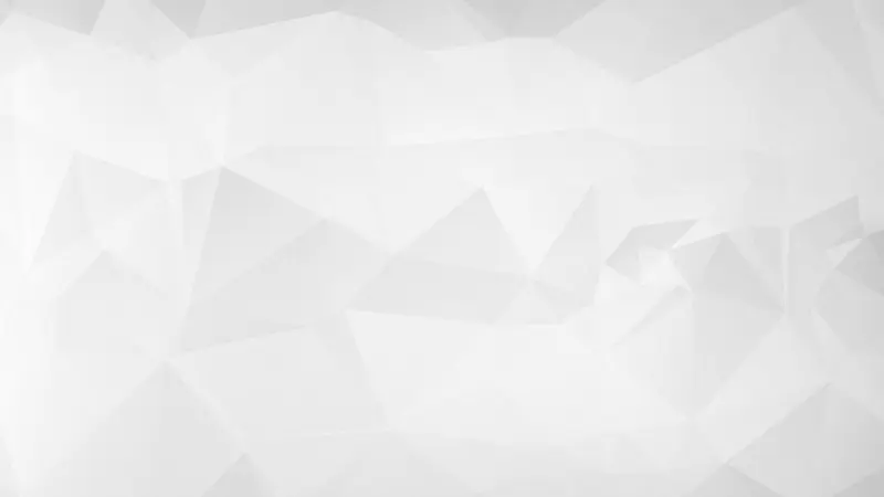 ��ɫ����α���-������