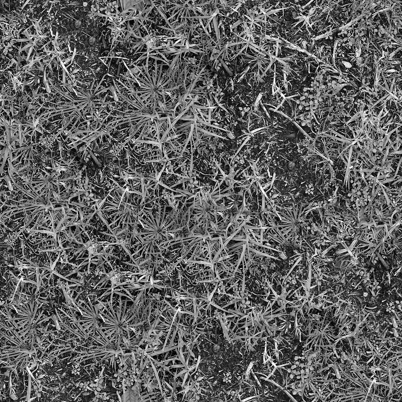 �ڰײݵر���-������