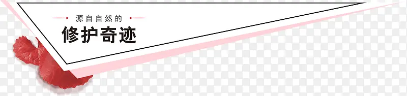 ���������ִ���������-������