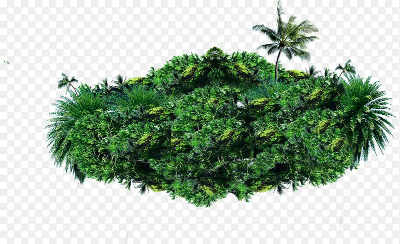 ����Ҭ��С�ݵ�С���ز�-������