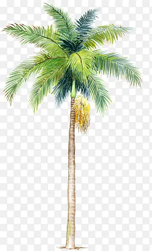 �ֻ�Ҭ��ʳƷ����-������