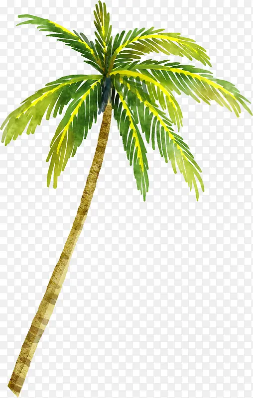 �ֻ�Ҭ������廭-������