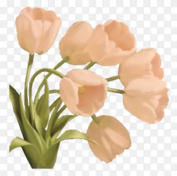 ˮ��õ�廨ֲ���ز�-������