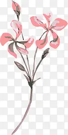 �ֻ��ɫ�ֻ滨֦-������